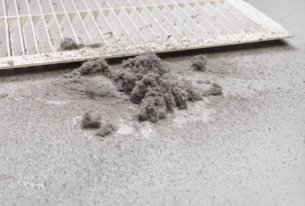 Best HVAC Air Duct Cleaning  in Seacliff, CA