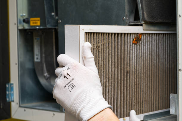 Best Home Air Vent Cleaning  in Seacliff, CA