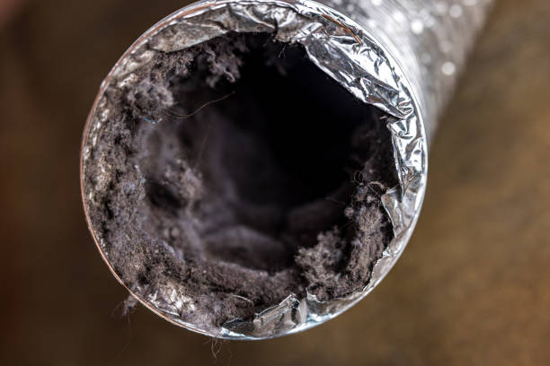 Best HVAC Duct Inspection Services  in Seacliff, CA